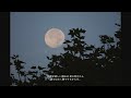 FREE Lo Fi Type Beat Hatsukoi