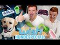 Tourette und Hund TESTEN die VERRÜCKTESTEN WISH PRODUKTE FÜR den HUND!(Wendler Edition)