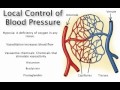 Chapter 20 Local Control of Blood Pressure