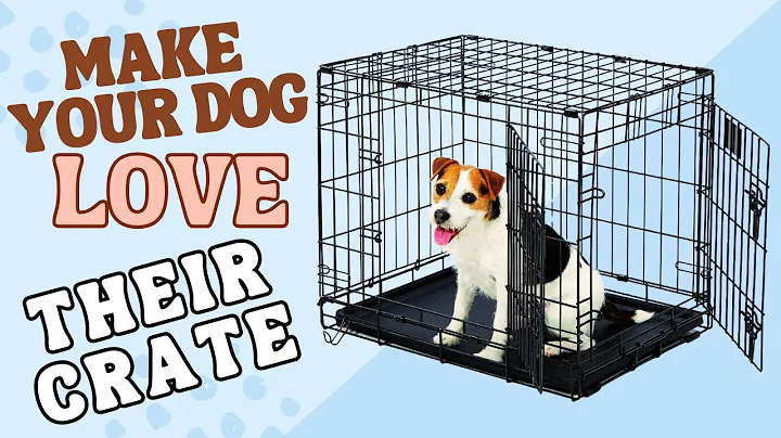 How to Crate Train A Dog That Will Not Go Into Crate?