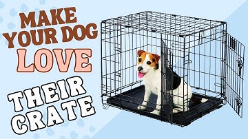 How to Crate Train A Dog That Will Not Go Into Crate?