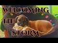 Welcoming the Storm & Responsibility Focus Meditation
