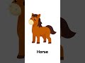 Animals Name | Animal | Learn Animal Names for Kids | Animals Learning Video | Kids Learning Reel