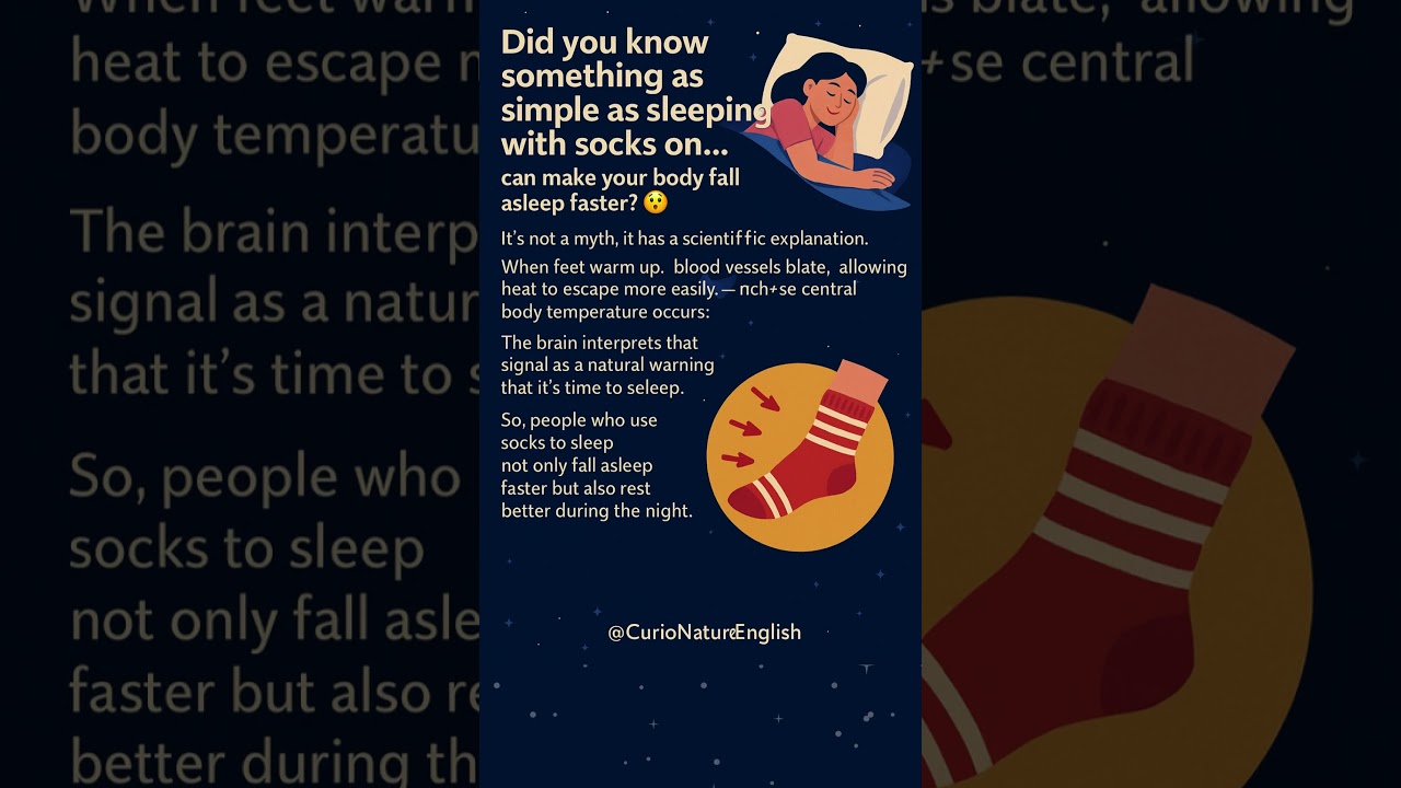 Sleeping with socks the trick your body understands better than your brain 