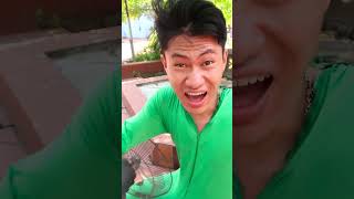 jisoo flower fan version (BLACKPINK) 😂🤣 #viral #trending #dance #shorts