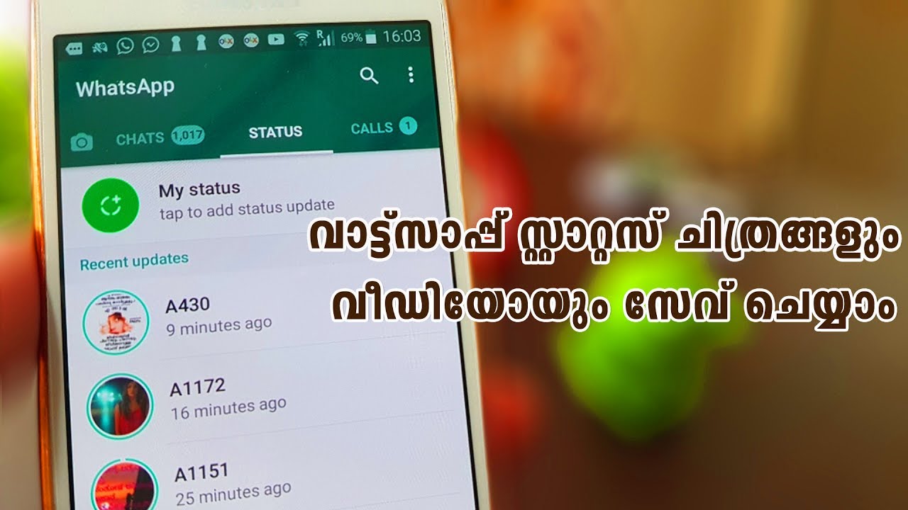 How to save  download whatsapp status pictures and videos