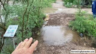 Maximize Your Harvest Of Free Stormwater From Streets And Driveways By Brad Lancaster
