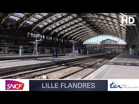 Trains en gare de Lille Flandres