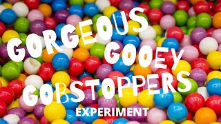 Gorgeous Gooey Gobstoppers Candy Science Experiment