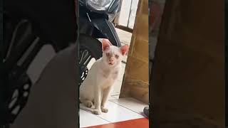 apakah kamu bisa tahan tawa? (part3)
