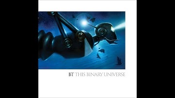 BT -This Binary Universe- 02 Dynamic Symmetry