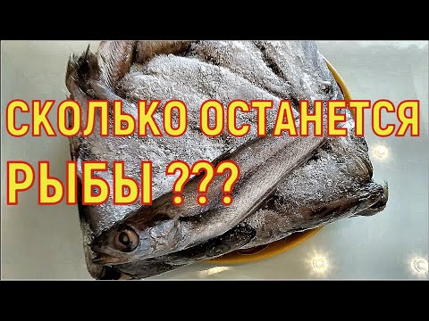 Морская рыба. Путассу. Сколько воды и отходов в рыбе? На сколько ужарится рыба?