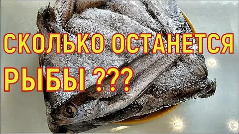 Морская рыба. Путассу. Сколько воды и отходов в рыбе? На сколько ужарится рыба?