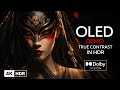 Ultimate HDR Visual Showcase | OLED Contrast Test in 4K UHD at 60 FPS | Dolby VISION