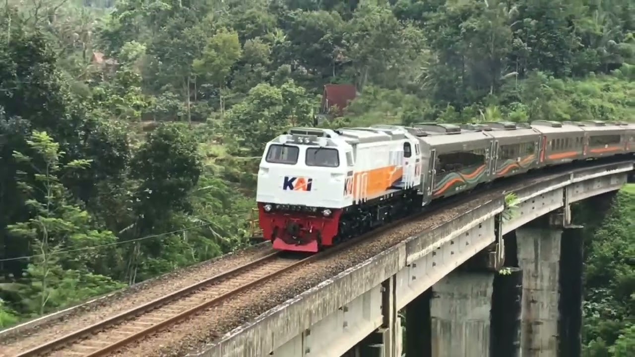 KERETA API PANJANG ‼️ MENEMUKAN 20 KERETA API NGEBUT DI TIKUNGAN