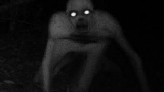 Someone Stole My Spotlight???? - Rake Game