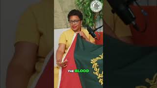 Black American Flag History Meaning Symbolism Explained