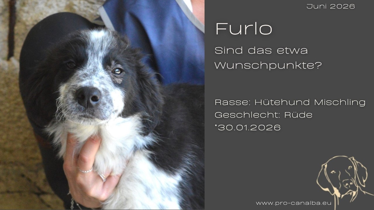 Furlo – Sind das etwa Wunschpunkte? Juni2026