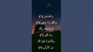 سورة الضحى بالطور العراقي - القارئ عامر الكاظمي 🌿