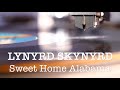 LYNYRD SKYNYRD - Sweet Home Alabama (Live) - 1980 Vinyl LP Reissue