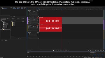 Learn Adobe Audition: 3.02 Mapping Mic Inputs