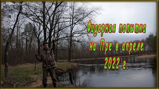 Фидерная попытка на Пре в апреле 2022.