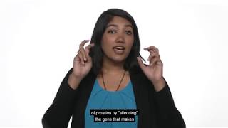 2018 UMD 3 Minute Thesis Winner Biological Sciences Doctoral Student Pravrutha Raman