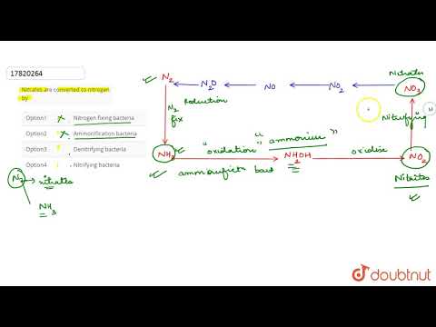 Video: Jaký je proces, při kterém se dusičnanové ionty a dusitanové ionty přeměňují na plynný oxid dusný a plynný dusík n2?