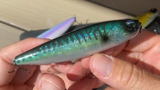 Glide Dog 100 Stickbait