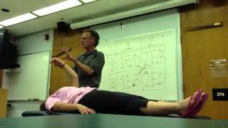 Lab 3: PNF UE D1 Part 1