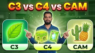 C3, C4 & CAM Pathways Made Simple | CO₂ Fixation in Plants | CSIR NET Life Science
