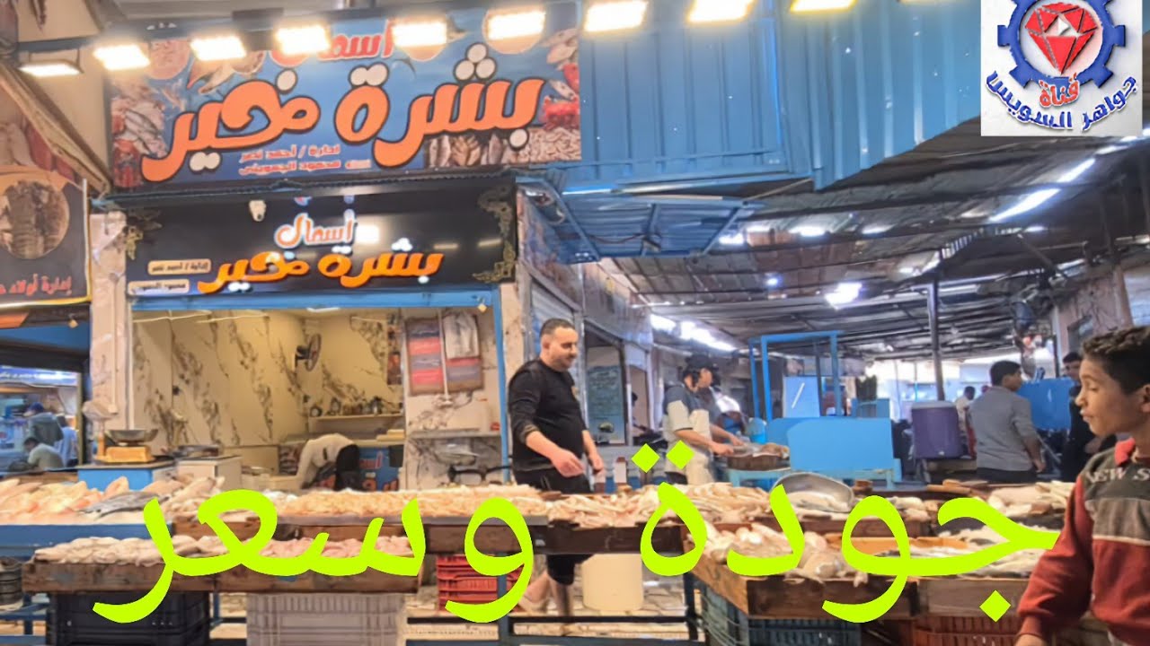 @ أرشحه لكم عند حضوركم سوق السمك بالأنصاري بالسويس زيارة محل بشرة خير تنوع أسماك وجوده وأسعار مقبولة