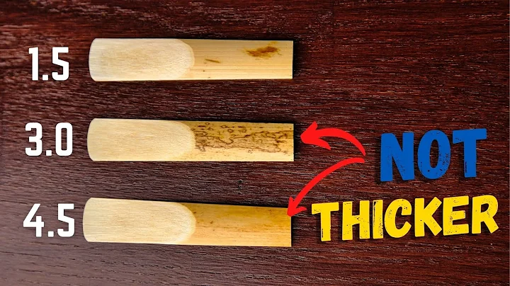 5 Things You DIDN"T Know about Saxophone Reeds