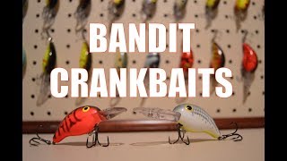 Bandit Crankbait 200/300 Series Review 