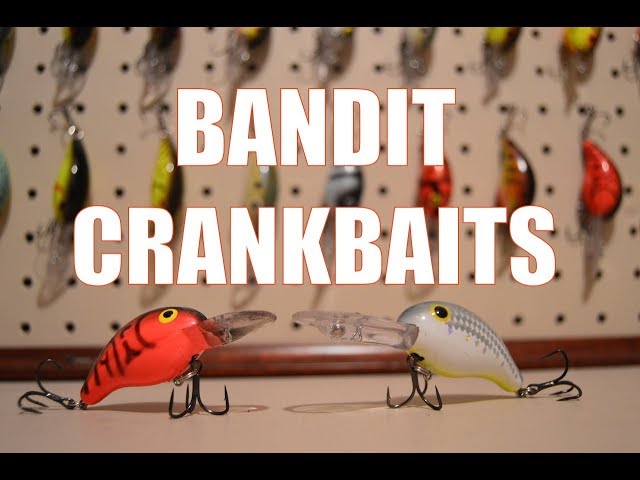 Bandit Crankbait 200/300 Series Review 