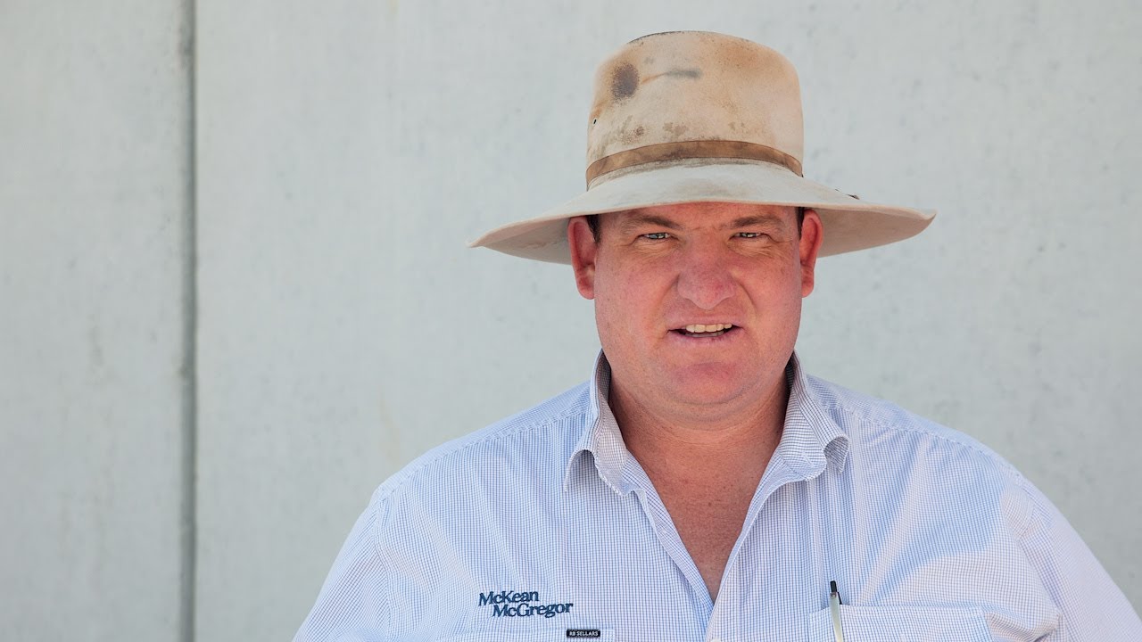 Bendigo Sheep & Lamb Market Report February 14, 2022 YouTube