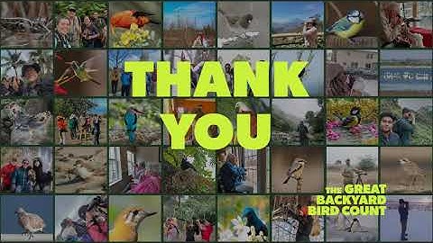 2024 The Great Backyard Bird Count: Thank You