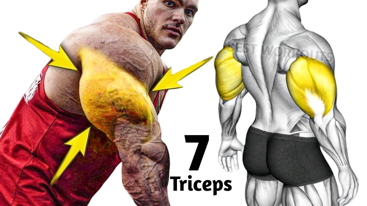 Get Big Arms Fast with These Simple Triceps Exercises | Triceps Workout ...