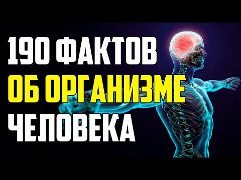 190 СТРАННЫХ ФАКТОВ О ЧЕЛОВЕЧЕСКОМ ОРГАНИЗМЕ