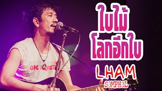 เพลงเพราะๆๆ   ใบไม้ || โลกอีกใบ  LHAM SOMPHOL @ ตากอากาศสกลนคร