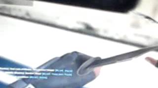 BUG PB HELISPOT.3gp