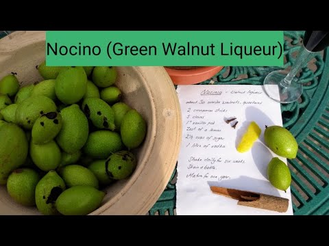 Video: Apa Yang Diperlukan Untuk Membuat Nocino, Liquur Walnut Itali Tradisional