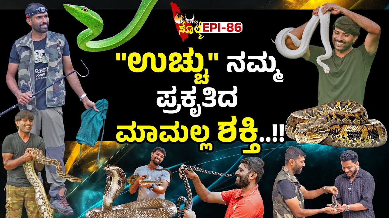 EPI-86 : ದುಂಬು ಉಚ್ಚು ಪತ್ತುನಾಯೆ ಪಂದ್ ಮಕ್ಕರ್ ಮಲ್ತೊಂತೆರ್... | ಸ್ನೇಕ್  ಕಿರಣ್  ಮಂಗಳೂರು | #snake #rescue