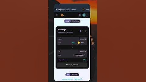 How to Buy Robodoge Coin Using PancakeSwap (Step by Step Guide)