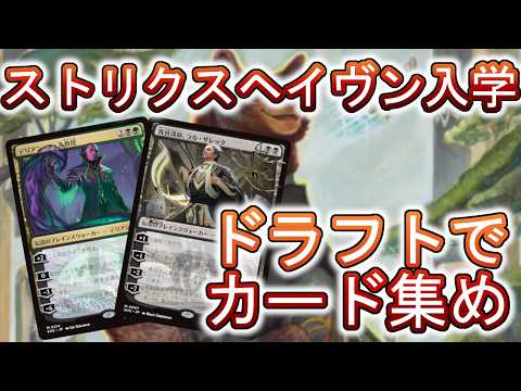 【早い者勝ち】ストリクスヘイブンの秘密　Draft Night 英語版 ストリクスヘイヴンの秘密 Draft Night【BIGWEB | MTG】日本