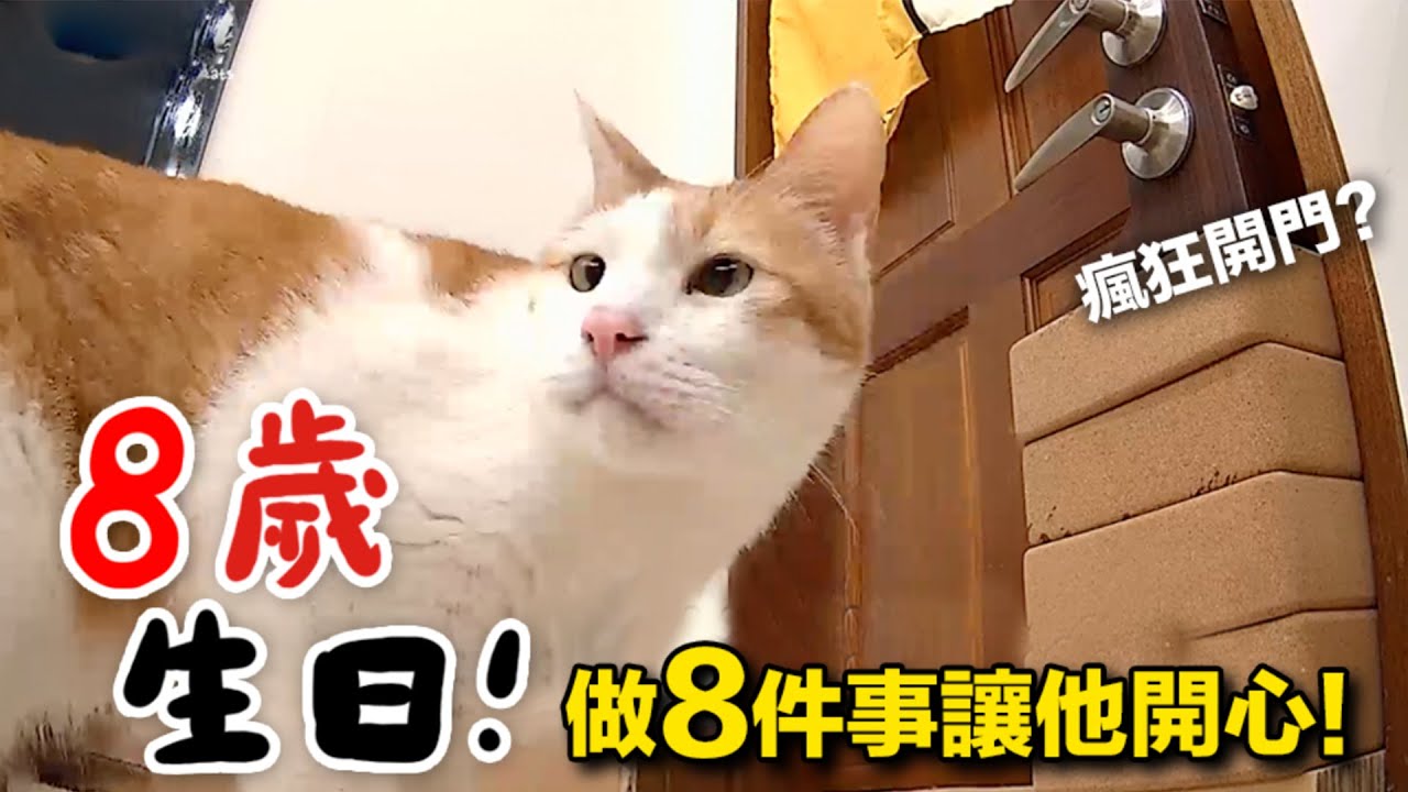 【黃阿瑪的後宮生活】浣腸8歲生日！做8件事讓他開心！