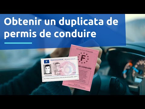 Obtenir un duplicata de permis de conduire