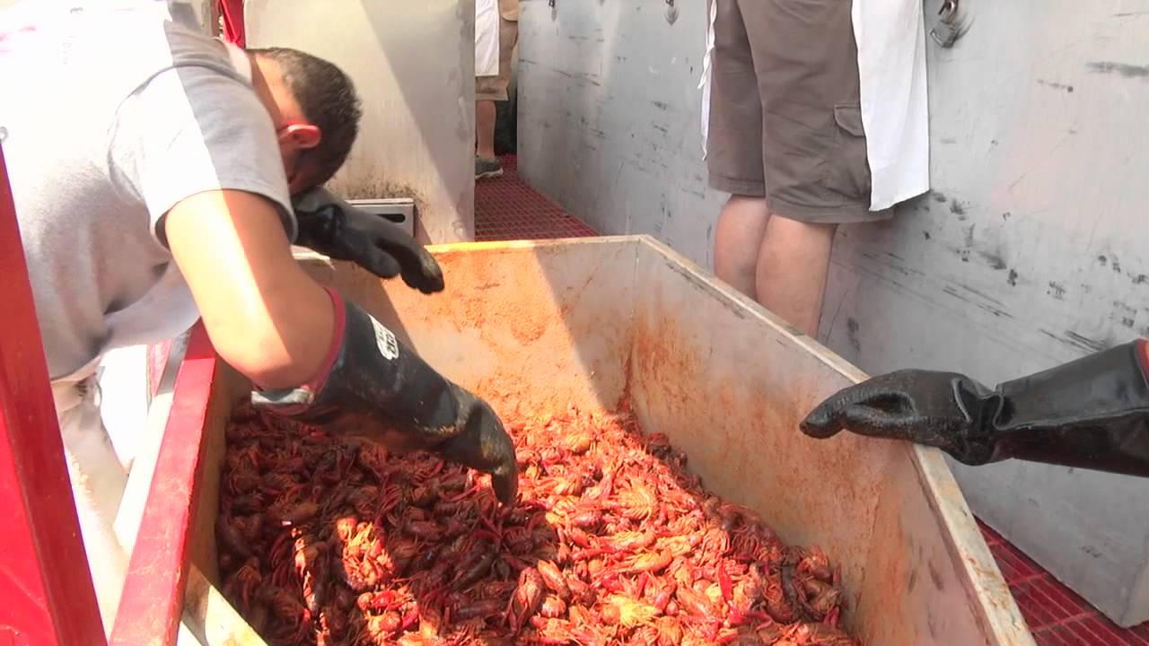 Rosewood Crawfish Festival Columbia, SC YouTube