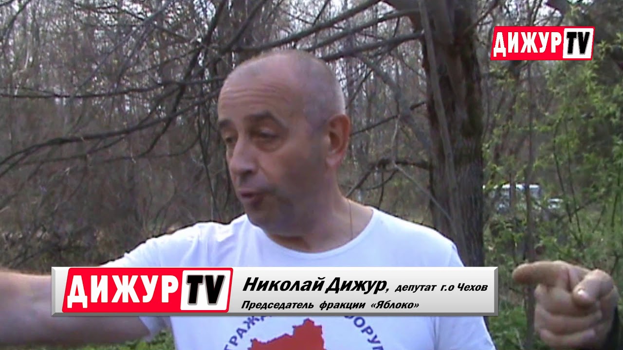 Юг авто чехов