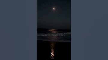 قال اني ليحزنني ان اذهبوا به واخاف ( سوره يوسف) للقارئ حسن صالح | حالات واتس اب قران | بدون حقوق❤️.